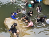 6월 20일 부산대 신유*님 MT 물놀이