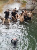 7.24일 풍경1번 서영준님과 친구들