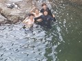 8월 18일 노르웨이계곡~